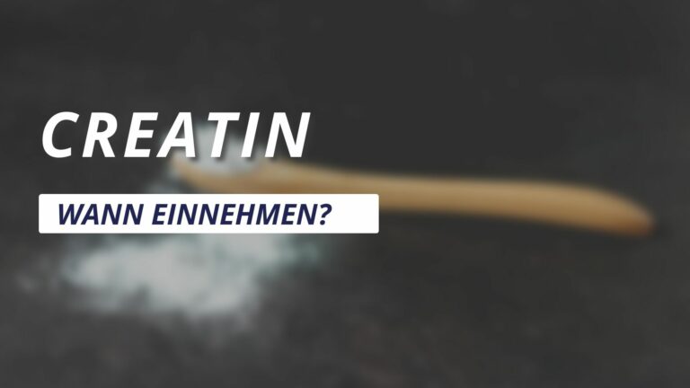 Wann Creatin einnehmen?